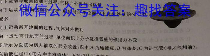 河南省2024年九年级第十二次中考模拟试卷物理试题答案