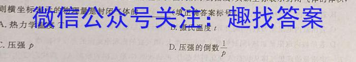 2024年第九届湖北省高三(4月)调研模拟考试物理`