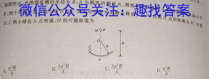 安徽省2023-2024学年高二春季阶段性检测物理