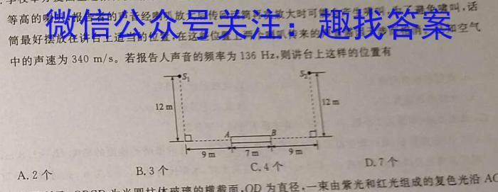 安徽省2023-2024第二学期九年级教学质量检测（三）物理试卷答案