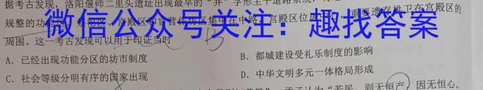 2024年湖南省普通高中学业水平合格性考试高二仿真试卷(专家版三)历史试卷答案