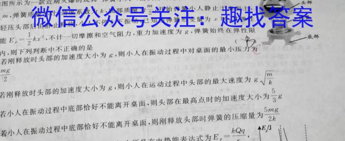 河南省临颍县2024年下学期第二次质量检测试卷物理试卷答案