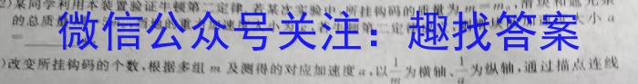 安徽中考2024年九年级监测试卷(5.24)物理`