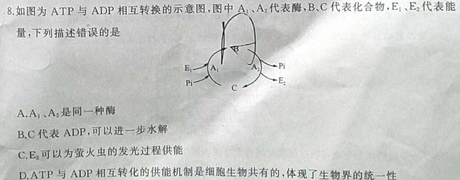 江西省2024年初中学业水平考试模拟卷（四）生物