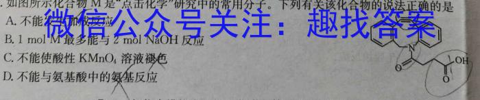 q2024年河北省初中毕业生升学文化课考试黑白卷化学