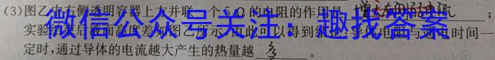 晋文源 山西省2024年中考考前适应性训练试题物理`