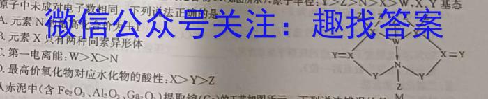 衡水金卷先享题·月考卷 2024-2025学年度上学期高三年级一调考试化学