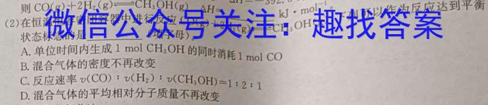 安徽省六安市2024-2025学年度秋学期九年级阶段性检测（一）化学