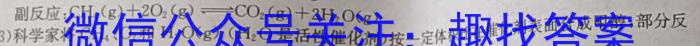 2024年普通高等学校招生全国统一考试名校联盟模拟信息卷(T8联盟)(八)化学