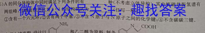 2024年河北省初中毕业生升学文化课模拟测评（八）化学