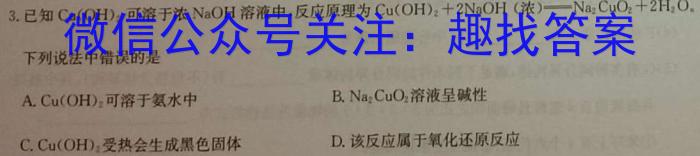 陕西省2024年初中学业水平考试(E)化学