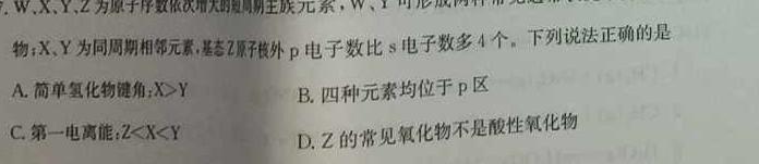 12023-2024学年湖南省高二年级期末考试(正方形包菱形)化学试卷答案