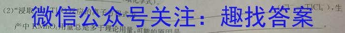 q豫智教育 2024年河南省中招极品仿真试卷(B)化学