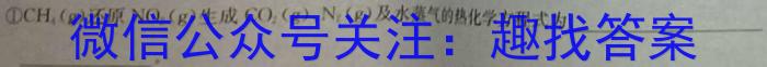 陕西省2023-2024学年第二学期九年级第一次模拟考试化学