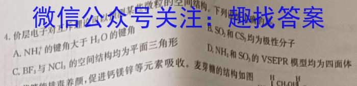【精品】江西省2024年初中学业水平考试原创仿真押题试题卷六化学