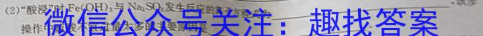 2025届甘肃省陇东中学高三年级第二次模拟考试(25041C)化学