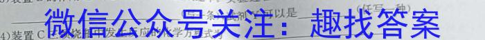 名校之约·2024届中考导向总复习模拟样卷（五）化学