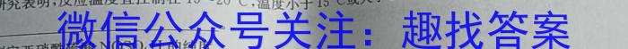 3卓育云·2023-2024中考学科素养自主测评卷（一）化学试题