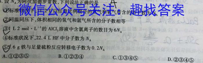 山西省2024届九年级学业水平检测卷（117）化学