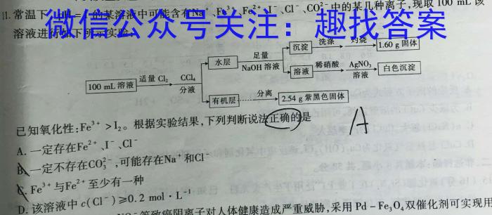 湖南省2025届高三九校联盟第一次联考化学