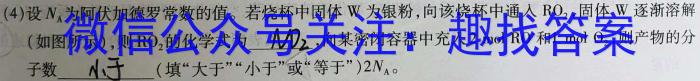 3河南省新乡市2024年七年级学业水平调研抽测化学试题