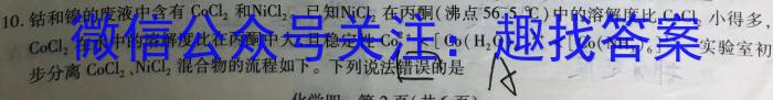 3文博志鸿2024年河南省普通高中招生考试模拟试卷(解密一)化学试题