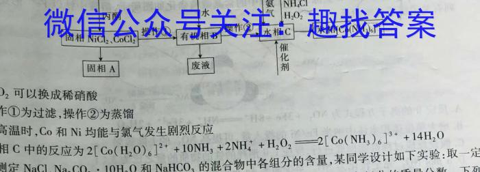 大通县朔山中学2023-2024学年度高一第二学期第三次阶段检测(241904Z)化学