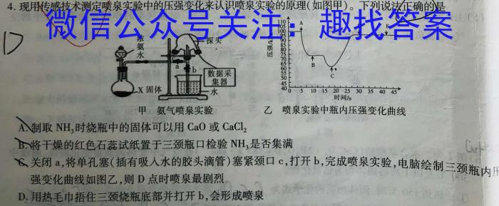 2024年湖南省高一年级12月考试化学