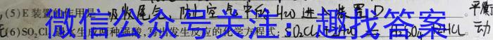 q山西省2024年中考总复习预测模拟卷（五）化学