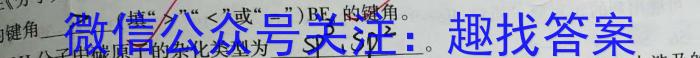 衡水金卷 广东省2025届高三年级摸底联考(8月)化学