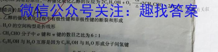 2024年河北省初中毕业生升学文化课考试麒麟卷(二)化学