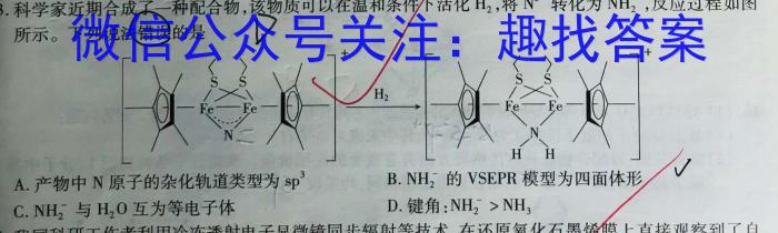 2024年河北省初中毕业生升学文化课模拟测评（二）化学