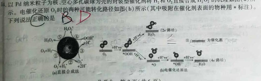 【热荐】［内江三诊］内江市高中2024届第三次模拟考试化学