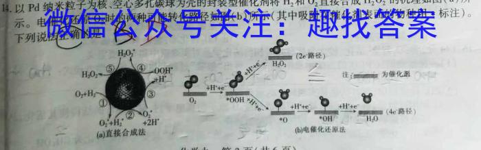 甘肃省2023-2024学年高一阶段性检测(♣)化学