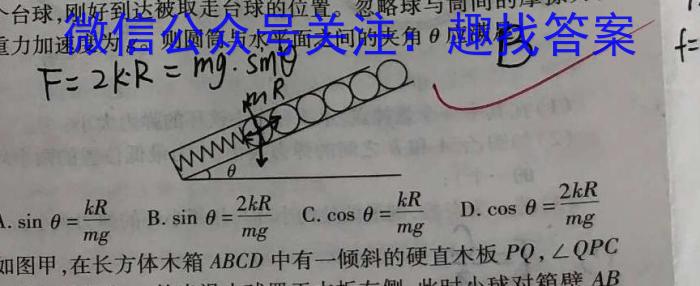 2024届湖南省高三5月考试(无标题)物理`