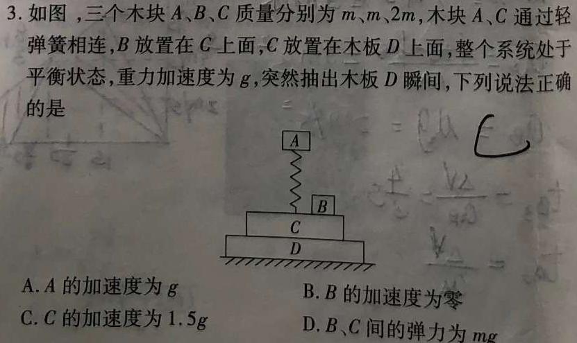 2024-2025学年度武汉市部分学校高三年级9月调研考试(物理)试卷答案