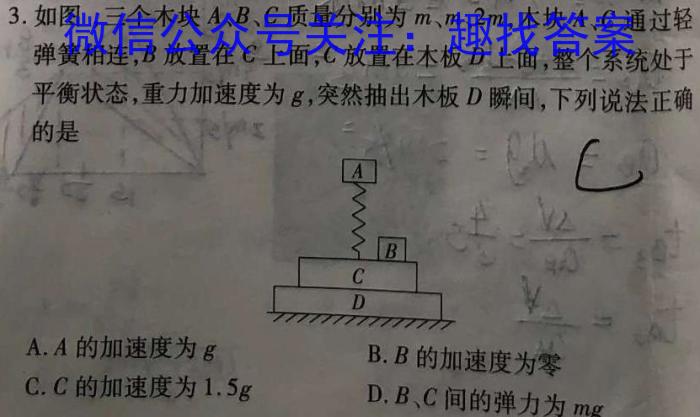 2023~2024学年高二下学期期中联考考试(24547B)物理试卷答案