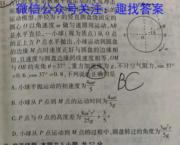 2024年河北中考VIP押题模拟(二)2物理试题答案