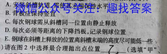 2024年安徽省初中学业水平考试模拟试卷（五）物理`