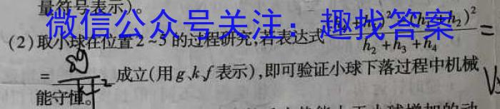 河南省2023-2024学年下学期高二年级3月月考（24485B）f物理