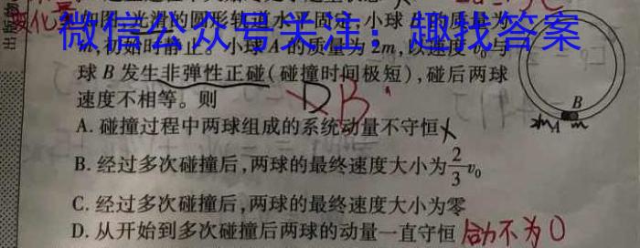 安徽省金安24届高三年级考前适应性考试(24-452C)物理`