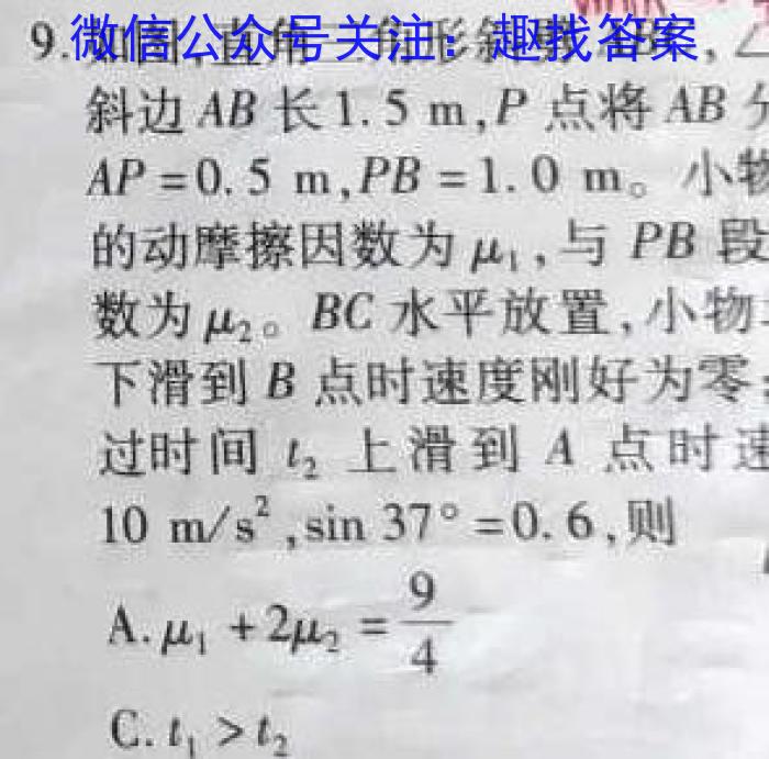 2024年湖北省新高考信息卷(四)物理试卷答案