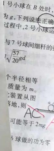 青桐鸣 2023-2024学年下学期高一年级期末考试-(物理)试卷答案
