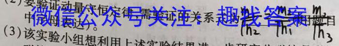 陕西省临渭区2024年九年级中考模拟训练(二)2物理试卷答案