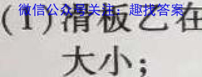 2024年河南省普通高中招生考试试卷适应卷物理试题答案