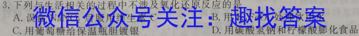 河北省2023-2024学年九年级第二学期第一次学情评估（标题加粗）化学