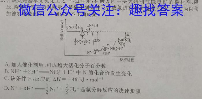 3甘肃省白银市2024年九年级第一次诊断考试(24-02-RCCZ13c)化学试题