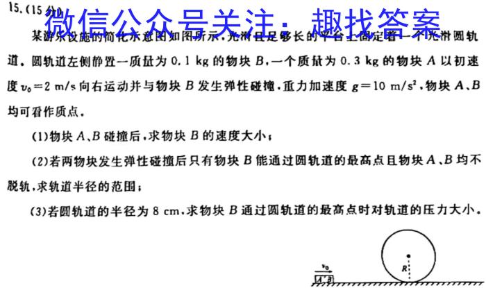 陕西省2023-2024八年级期末教学素养测评(四)[4L-SX]q物理