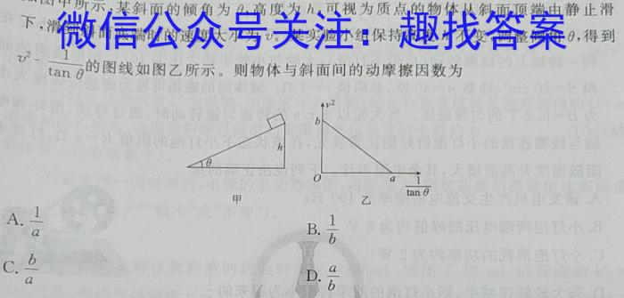 巴蜀中学校2023-2024学年高三下学期4月月考(黑黑白黑黑白白)物理