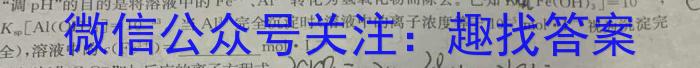 【精品】安徽省霍邱县2023-2024学年度七年级第二学期期中考试化学